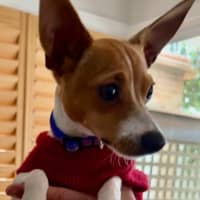 Photo of Pablo