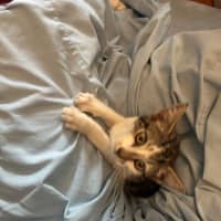 Photo of Polly