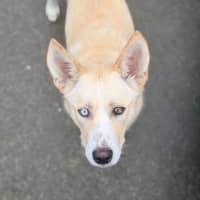 Photo of Sugar