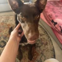 Photo of Gus