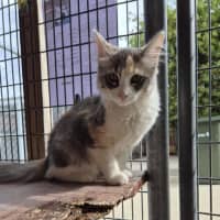 Photo of Ella! ❤️