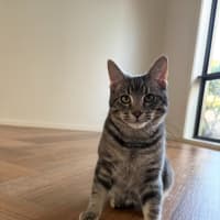 Photo of Jeremiah