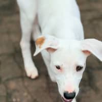 Photo of Marci