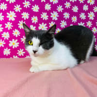 Photo of Bonnie   Located In Preston