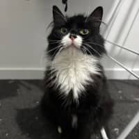 Photo of Nellie 🌺