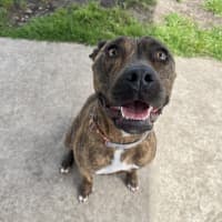 Photo of Mollie