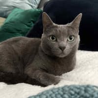 Photo of Bubbles