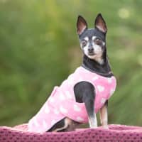 Photo of Spark
