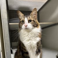 Photo of Hunter