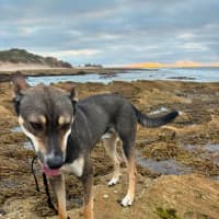 Photo of Max