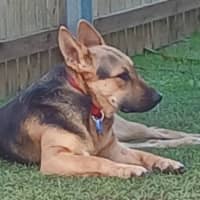 Photo of Jem