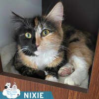 Photo of Nixie