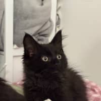 Photo of Tylenol Aka Ty