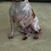 Photo of Twinkle