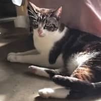 Photo of Louie