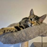 Photo of Stephaine 