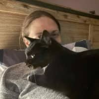 Photo of Hershey   Located In Bentleigh East