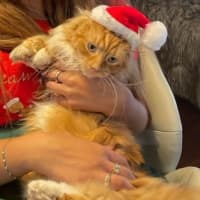 Photo of Peaches 