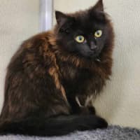 Photo of 🍫 Malteaser 5469 🍫