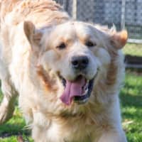 Photo of Sarrh Falko 