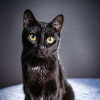 Photo of Betty