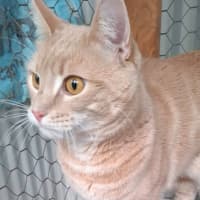 Photo of Champy