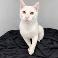 Photo of Mr Snow