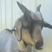 Photo of Jack Jack, Maleficent & Merlin