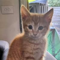 Photo of Carol Meet Me@Petstock Keysborough Store 