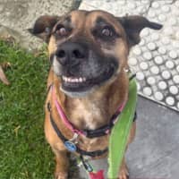 Photo of Buddy