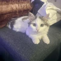 Photo of Kevin 