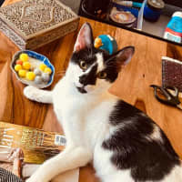 Photo of Daisy