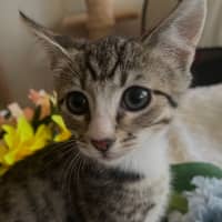 Photo of Jasper