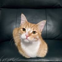 Photo of Lily
