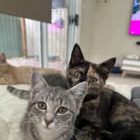 Photo of La La