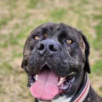 Photo of 🥛 Eggnog 5520 🥛