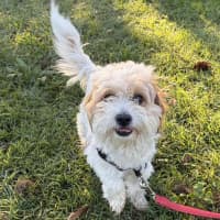 Photo of Twix