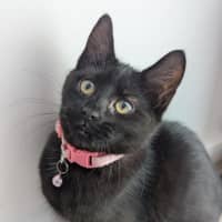 Photo of Sprout
