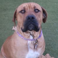 Photo of Gus