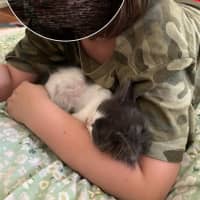 Photo of Smudge
