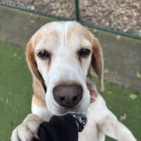 Photo of Post Malone