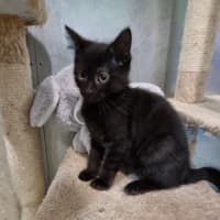 Photo of Percy