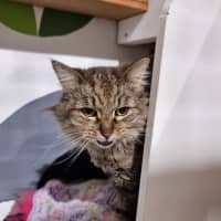 Photo of Kit
