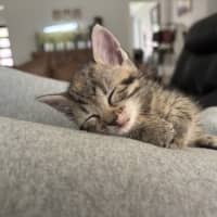 Photo of Peggy