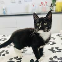 Photo of Xena