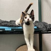 Photo of Callie Bean
