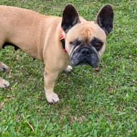 Photo of Betty