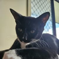 Photo of Frankenstein