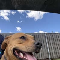 Photo of Lenny