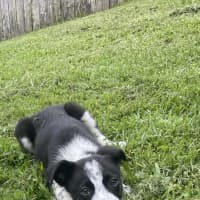 Photo of Stanley